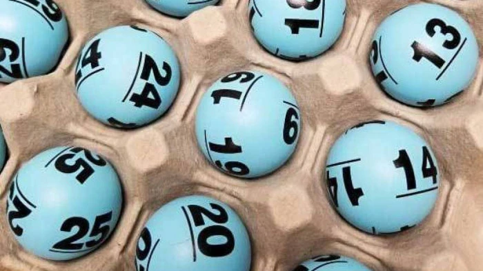 Khám Phá Thế Giới Đá Gà Tại Bj88